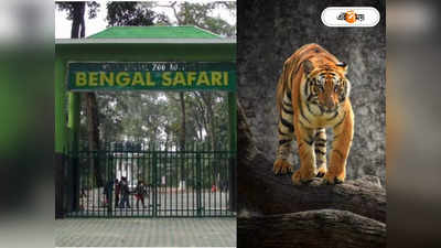 Bengal Safari Park Tour : বেঙ্গল সাফারি পার্কে শোকের ছায়া! নয়া সদস্যের অকাল মৃত্যুতে হতাশ কর্তৃপক্ষ