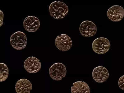 मैदान में बिखरे हुए थे प्राचीन सोने के सिक्के, पुरातत्वविदों ने मेटल डिटेक्टर से खोजा 2000 साल पुराना खजाना