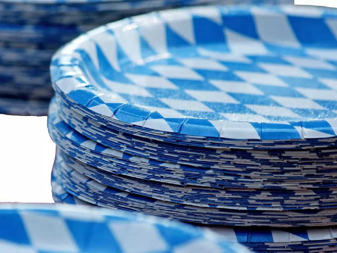 Paper Plate Manufacturing Business