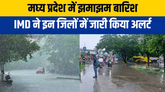 heavy rain in sagar after 20 days many drains in spate
