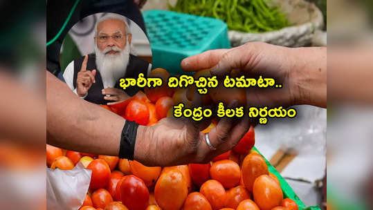 Tomato Price: కేంద్రం ఆదేశాలు.. 40 రూపాయలకే కేజీ టమాటా.. ఎప్పటి నుంచో తెలుసా? 