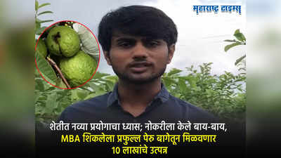 शेतीत नव्या प्रयोगाचा ध्यास; नोकरीला केले बाय-बाय, MBA शिकलेला प्रफुल्ल पेरु बागेतून मिळवणार १० लाखांचे उत्पन्न