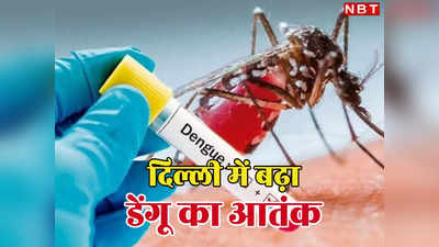 डेंगू के डंक से सावधान! दिल्ली में तेजी से बढ़ रहा खतरा, अस्पतालों में भर्ती करने की आ रही नौबत