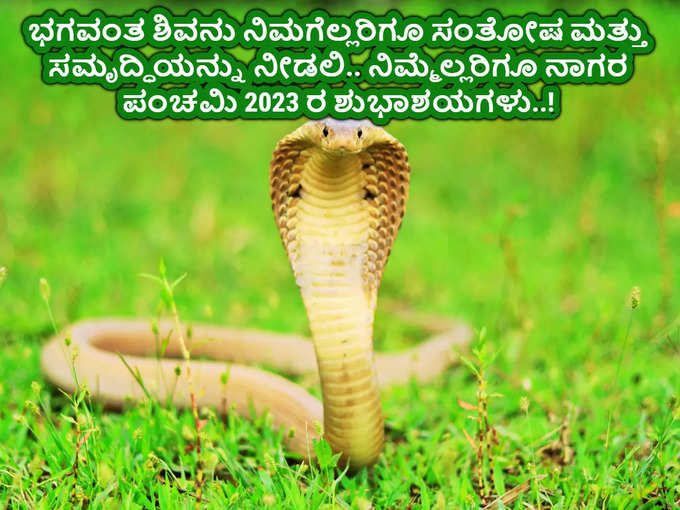 Nag Panchami 2023