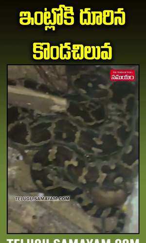 python enters into house in kadapa district siddavatam