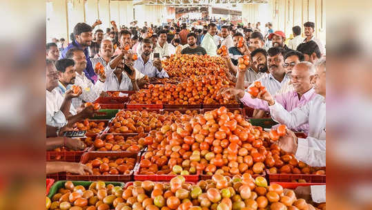 தக்காளி விலை 40 ரூபாய்தான்.. கொண்டாடித் தீர்க்கும் மக்கள்!