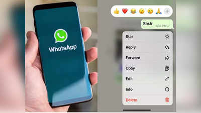 WhatsApp का मीडिया कैप्शन फीचर लॉन्च, ऐसे कर पाएंगे इस्तेमाल