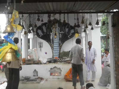 Bundelkhand में Nagpanchami की धूम, सैकड़ों सालों पुरानी परम्परा की तैयारी शुरू, मंदिरों में जुटेंगे श्रद्धालु