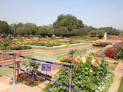 दिल्ली के लोगों के लिए फिर खुला ‘अमृत उद्यान’, बस इतने दिनों के लिए कर सकेंगे दीदार…नहीं देखा तो अब देख लें!