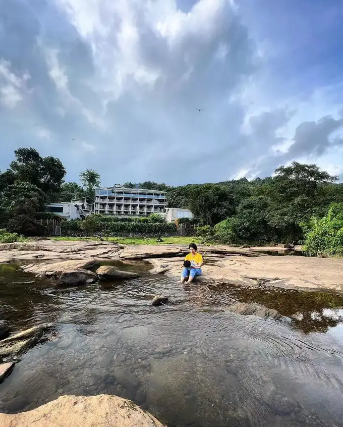 basil wedding anniversary