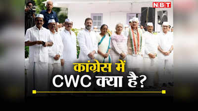 Congress News: कांग्रेस की CWC क्या होती है, सबसे पावरफुल टीम में गांधी परिवार का रोल भी जानिए