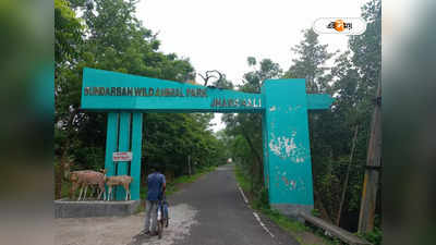 Sundarban Tour : সুন্দরবন ভ্রমণে যাচ্ছেন? ঝড়খালি পার্কে থাকছে বিশেষ আকর্ষণ