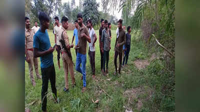 Bulandshahr News: मुंह से निकल रहा था झाग, तड़पकर तोड़ रहे थे दम, बुलंदशहर में 10 बंदरों की मौत