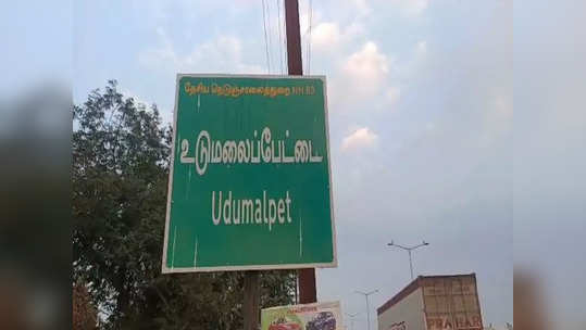 உடுமலை அருகே வெறிநாய்கள் கடித்ததால் ஆடுகள் இறப்பு