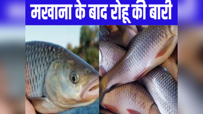 Bihar: मिथिला मखाना के बाद अब रोहू मछली की बारी, बहुत जल्द मिलेगा GI टैग