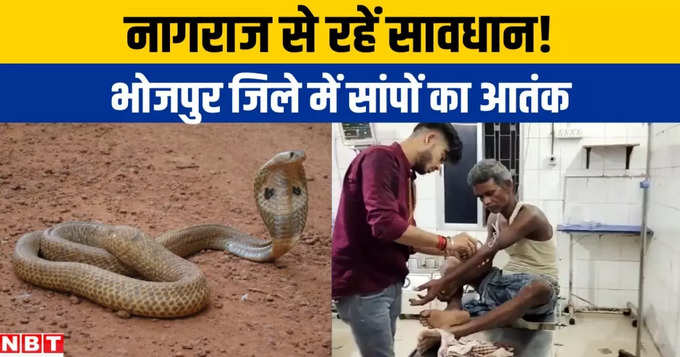 ara snake bite news fb