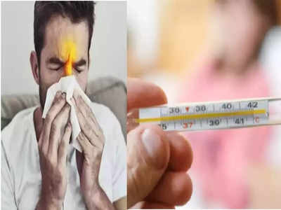 Mumbai News: मुंबईत पावसाची उघडीप, विषाणूंचा फैलाव वाढला; साथीच्या आजारांबाबत डॉक्टरांचा महत्त्वाचा सल्ला