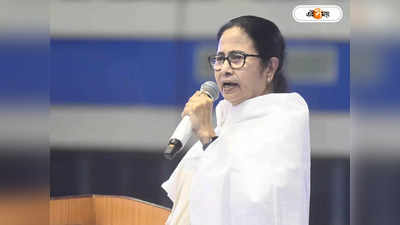 Mamata Banerjee : মহেশতলায় দর্জিদের হাব, মঙ্গলাহাটের জমি এখন খাস