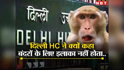 Delhi News: इलाका इंसानों के लिए तय होते हैं, बंदरों के लिए नहीं, दिल्ली हाईकोर्ट ने क्यों कहा ऐसा