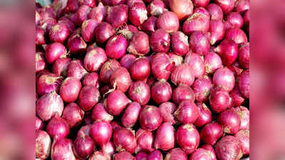 Onion Price Crisis: राज्यातील कांदा उत्पादक शेतकऱ्यांसाठी केंद्राचा महत्त्वाचा निर्णय, दोन लाख मेट्रिक टन कांदा खरेदी करणार