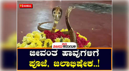 a special pooja was held for live snakes in udupi the video is viral