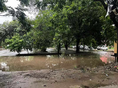 Haryana Rain Alert: चंडीगढ़ और पंचकूला में झमाझम बारिश, सड़कों पर भरा पानी... हरियाणा के इन जिलों के लिए येलो अलर्ट जारी