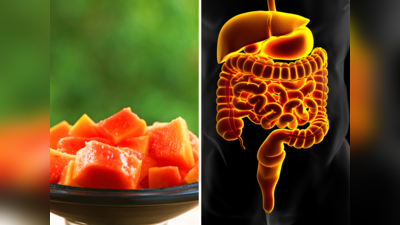 Papaya Benefits: इस टाइम पपीता खाते ही भागने लगती है पेट की चक्की, 200% ज्यादा है ये विटामिन