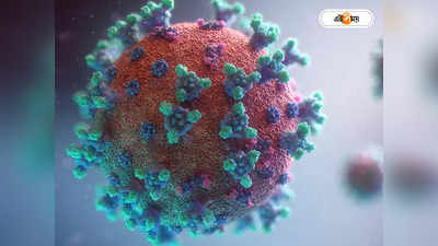 Anti Influenza Virus H3N2 : চোখ রাঙাচ্ছে ইনফ্লুয়েঞ্জার নতুন রূপ H3N2, হু হু করে বাড়ছে আক্রান্তের সংখ্যা