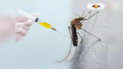 Dengue Vaccine : ভারতে প্রথম ডেঙ্গির টিকা, কবে মিলবে বাজারে?