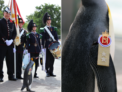 सर निल्स नाम के Penguin को नॉर्वे आर्मी में मिली तीसरी सबसे बड़ी रैंक, सोशल मीडिया पर मिल रही ढेरों शाबाशियां