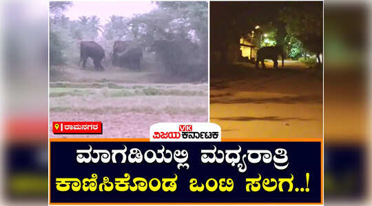 ರಾಮನಗರದಲ್ಲಿ ನಿಲ್ಲದ ಕಾಡಾನೆ ಹಾವಳಿ ; ಅಪ್ಪಕರೆ ಗ್ರಾಮಕ್ಕೆ ಕಾಲಿಟ್ಟ ಗಜಪಡೆ!