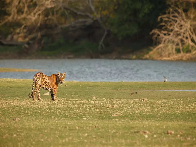 सतपुड़ा राष्ट्रीय उद्यान, मध्य प्रदेश