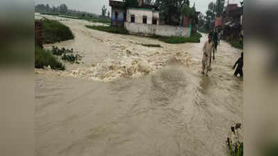 Bihar Flood: पांच स्थानों पर खतरे के निशान के ऊपर बागमती, हरदी नदी पूरे उफान पर; सीतामढ़ी में खेत और घरों में घुसा बाढ़ का पानी