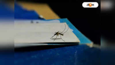 Dengue Fever : মশার হাত থেকে বাঁচান, সিবিআই-আর্জিতে সারা