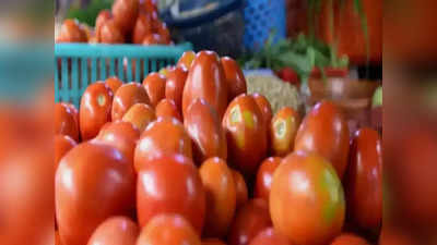 Tomato Price: महिन्यात उतरली टोमॅटोची लाली; किलोला ४० ते ६० रुपये, जाणून घ्या इतर भाज्यांचे दर