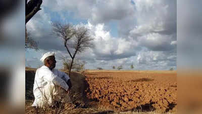 Maharashtra Rain: शेतकऱ्यांच्या चिंता वाढल्या, पावसाअभावी १५ जिल्ह्यांमधील खरिपाची पिके धोक्यात