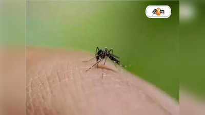 Dengue Fever : জ্বরের শুরুতেই টেস্টে ডেঙ্গি পজ়িটিভ অনেকে