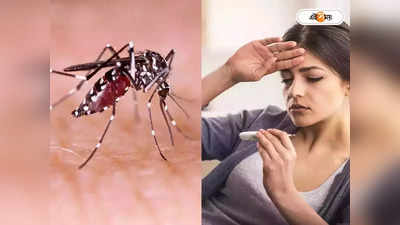 Dengue In Kolkata : বৃষ্টি হতেই ঝোড়ো ব্যাটিং, বিধাননগরে ডেঙ্গি বাড়ল ৪ গুণ