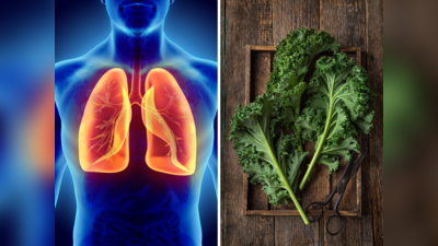 Foods For Lungs: वैज्ञानिकों ने माना 5 सब्जी खाने से खराब नहीं हो सकते फेफड़े, अंदर नहीं घुस पाता इंफेक्शन
