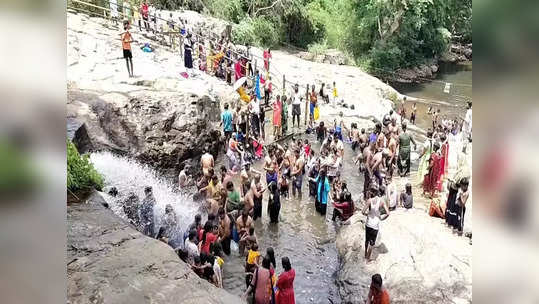 கொளுத்தும் வெயில்: தேனி கும்பக்கரை அருவியில் குளித்து மகிழும் சுற்றுலா பயணிகள்...!