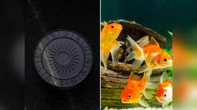 Pisces September 2023: অতিরিক্ত ব্যয়, অসুখ, সম্পর্কে ভাঙন! শনির দশায় সেপ্টেম্বরে নানা বিপদ মীন রাশির