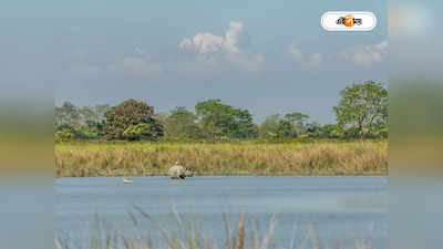 Kaziranga National Park : এই প্রথম মহিলা ফিল্ড ডিরেক্টর পাচ্ছে কাজিরাঙা জাতীয় উদ্যান, দায়িত্ব নেবেন সেপ্টেম্বরেই