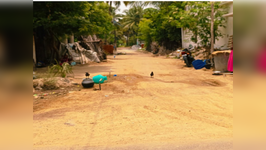 விழுப்புரம்; போடாத சிமெண்ட் சாலைக்கு கணக்கில் காட்டப்பட்ட பணம்!