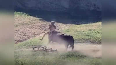 Farmer Death UP: फतेहपुर में खेत जा रहे किसान पर सांड ने किया हमला, पटक-पटककर उतारा मौत के घाट