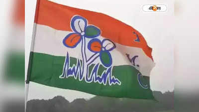 Trinamool Congress : তৃণমূলে সর্বোচ্চ নেতৃত্ব ভাগ করছেন দফতর, তদ্বিরের সুযোগ কমই