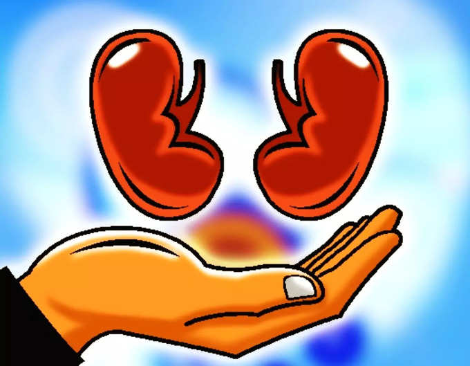 Sisters Donate Organs To Brothers Rakshabandhan 2023 Story1