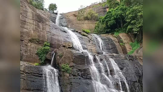 குற்றாலம் அருவிகளில் நீர்வரத்து அதிகரிப்பு; ஆனந்த குளியல் போடும் சுற்றுலா பயணிகள்!