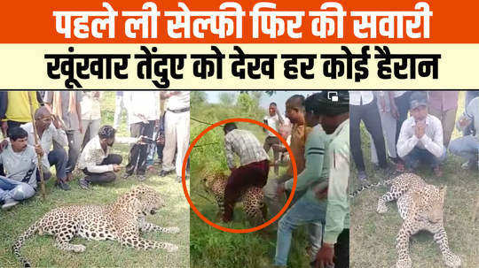 leopard clicked photos with the villagers you will be surprised to see the video