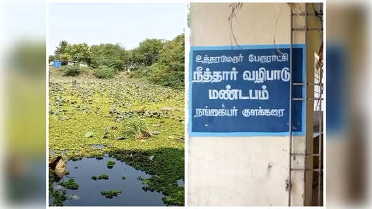 உத்திரமேரூர் நங்கையர் குளம் சீரமைக்கப்படுமா?... பேரூராட்சி நிர்வாகத்திற்கு மக்கள் கோரிக்கை!