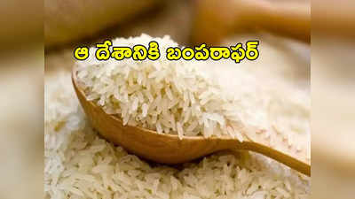 Rice Exports: బియ్యం ఎగుమతులపై కేంద్రం నిషేధం.. ఆ ఒక్క దేశానికి మాత్రం అవకాశం.. ఎందుకంటే?